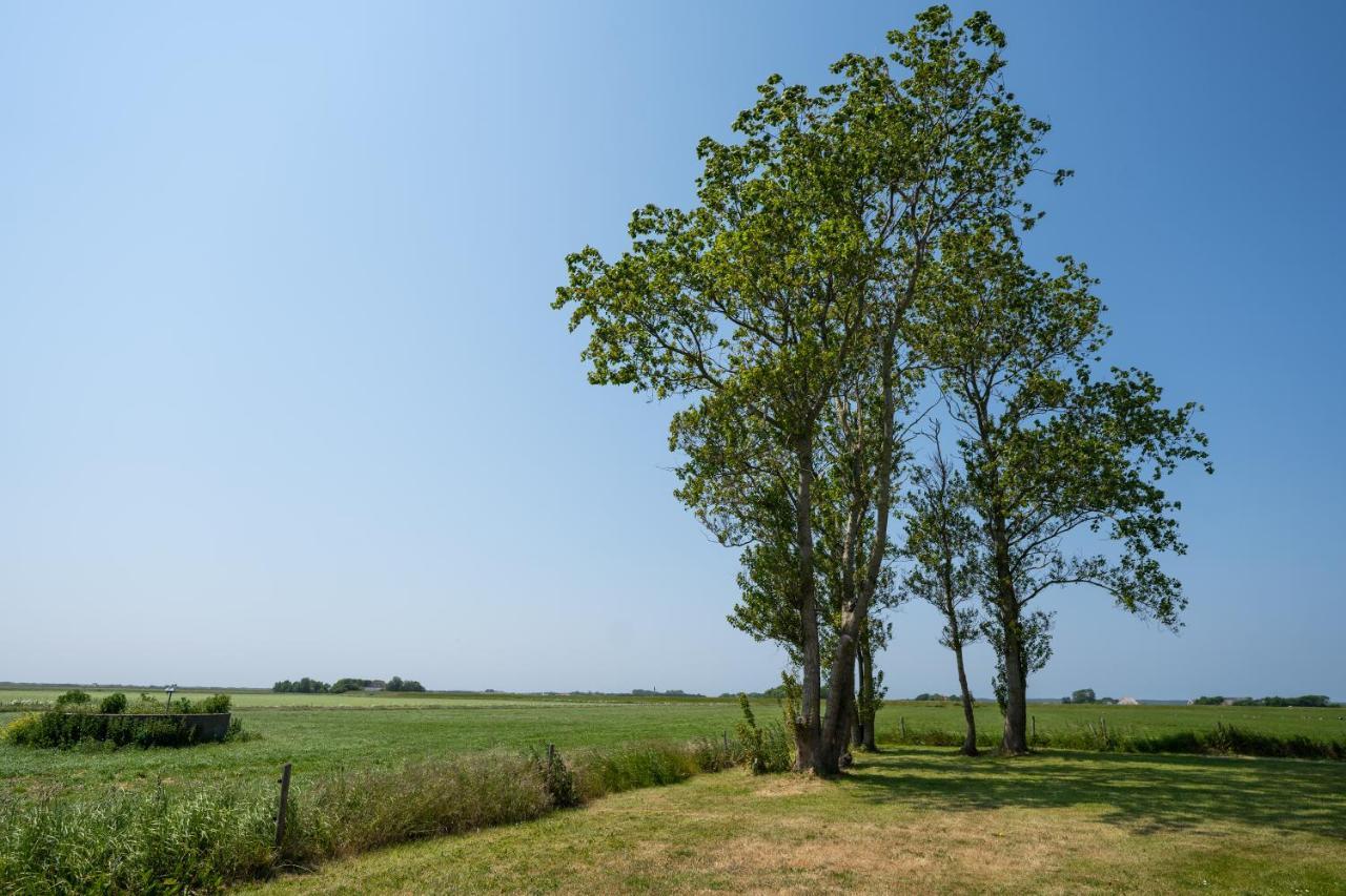 Johanneshoeve - De Mooiste Plek Op Texel Den Hoorn  Esterno foto