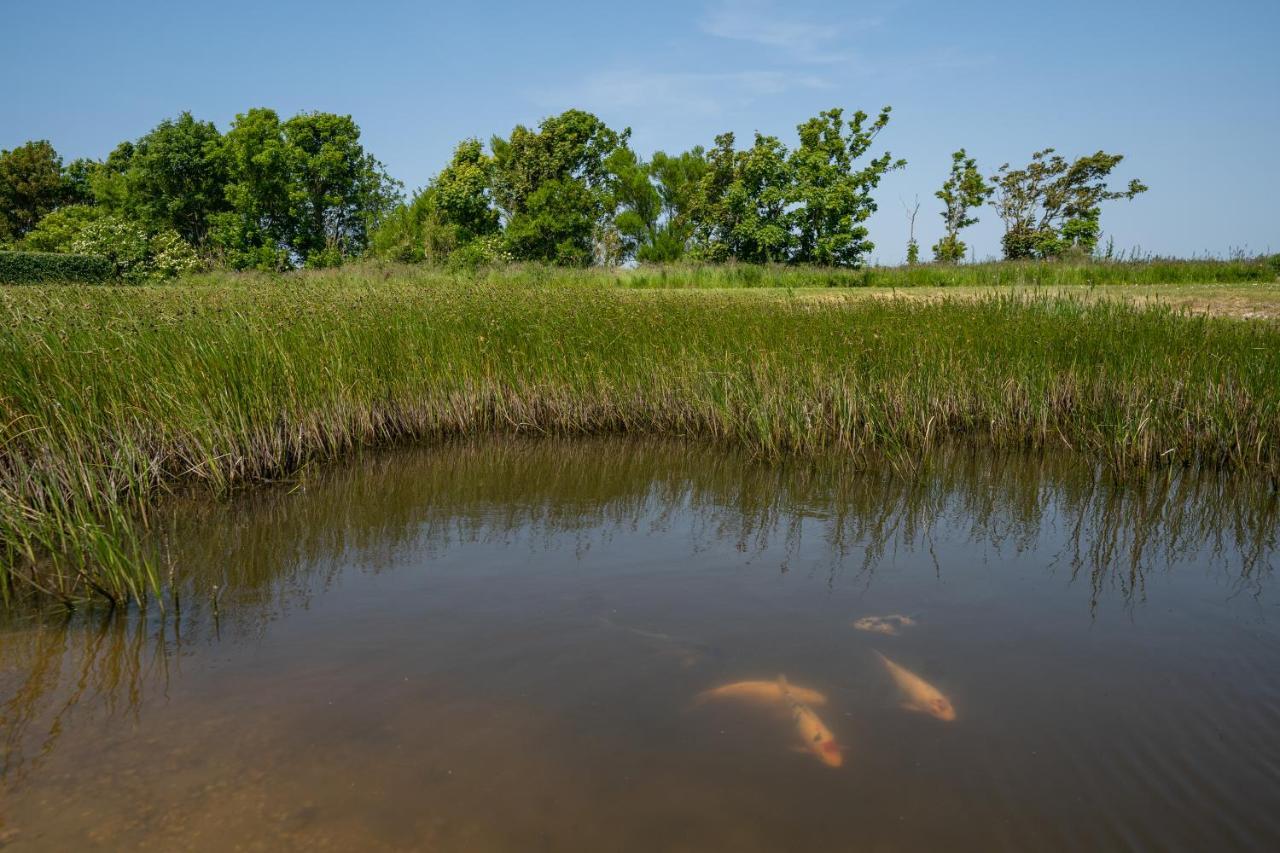 Johanneshoeve - De Mooiste Plek Op Texel Den Hoorn  Esterno foto